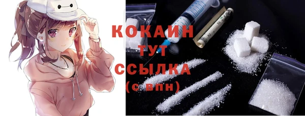 ГАЛЛЮЦИНОГЕННЫЕ ГРИБЫ Белокуриха
