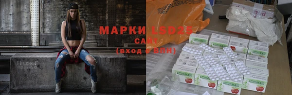 шишки Белоозёрский