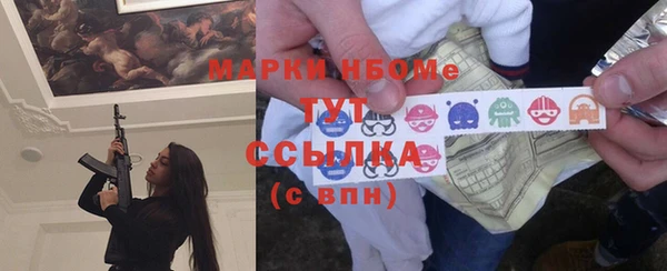 шишки Белоозёрский
