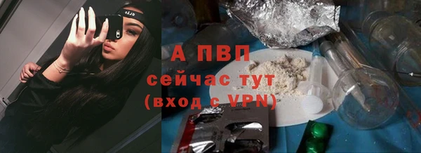 шишки Белоозёрский