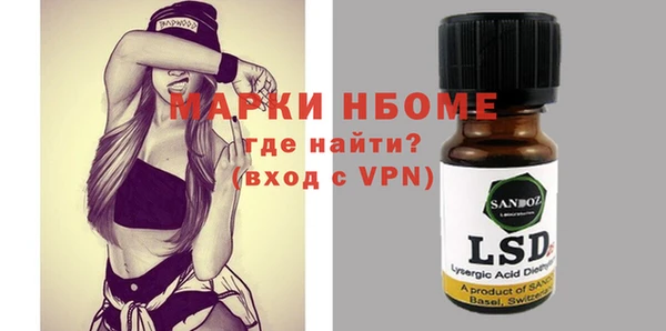 шишки Белоозёрский