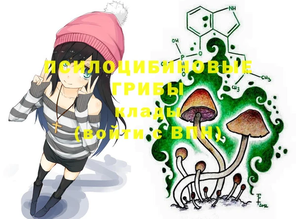 ГАЛЛЮЦИНОГЕННЫЕ ГРИБЫ Белокуриха