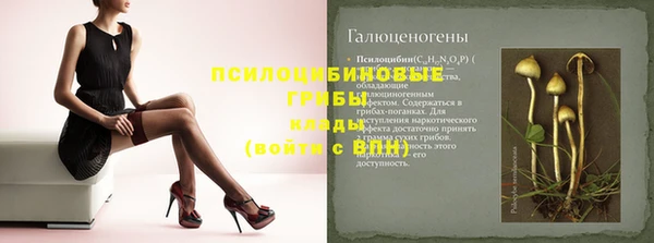 ГАЛЛЮЦИНОГЕННЫЕ ГРИБЫ Белокуриха
