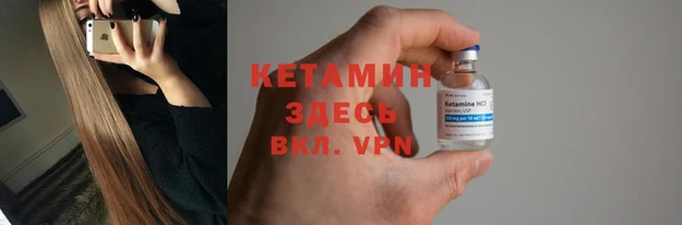 шишки Белоозёрский