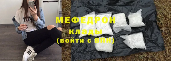 шишки Белоозёрский