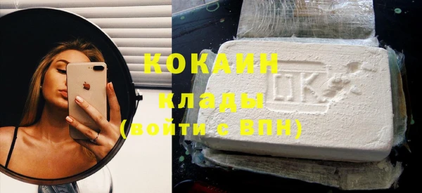 шишки Белоозёрский