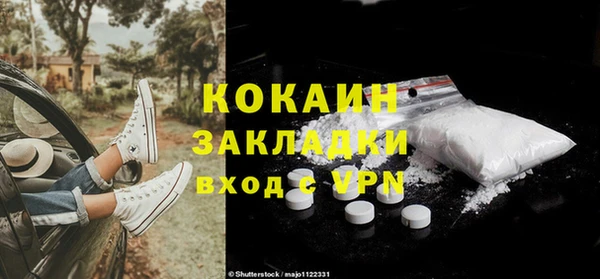 ГАЛЛЮЦИНОГЕННЫЕ ГРИБЫ Белокуриха